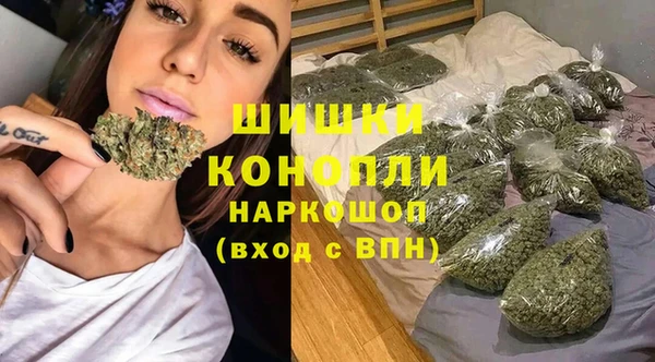 мдпв Волосово