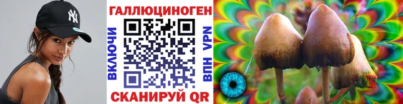 Купить закладки  Кольчугино  Псилоцибиновые грибы MAGIC MUSHROOMS 