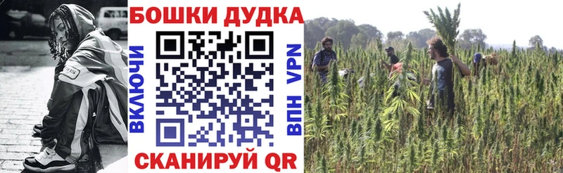 Купить закладки  Кольчугино  Канабис SATIVA & INDICA 